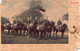 Militaria - Soldats - Armée Suisse - Schweizer Armee - Guiden - Cavalerie - Aarau 1909 - Aarau