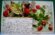 Cpa  Précurseur  FRUITS . FRAISIER . FRAISES . 1901 . STRAWBERRIES AND STRAWBERRY PLANT  EARLY PC - Plantes Médicinales