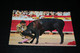 32419-                     ESPANA  SPAIN, EL CORDOBES - Bull