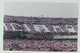 76615 Foto D'epoca 710 - Calcio Tifo Palermo - Palermo Verona 2003 - Sports