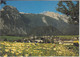 ABTENAU - Panorama, Am Fupe Des Tennengebirge - Abtenau