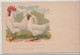 Coq Et Poule-WeiBe Italiener-Leghorns Blancs - Birds