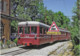 719 - Tramway Du Mont-Blanc, En Gare De Saint-Gervais-les Bains (74) - - Gares - Avec Trains