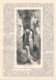Delcampe - A102 870 Steiermark Leoben Erzberg Gesäuse U.a. Artikel Mit 10 Bildern 1893 !! - Autres & Non Classés