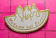 1615A Pin's Pins / Beau Et Rare / THEME : MEDIAS / SERIE TELE M6 MADAME EST SERVIE TONY DANZA - Médias