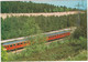 Nijverdal - Het Ravijn: Rode 'Blauwe Engel' NS TREIN - (Nederland) - Nr. L 32 - (Train/Zug/Tren/Trein) - Nijverdal