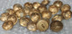 Lot De 24 Boutons Aviation Dia 19 - Buttons