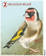 België  2021 ** De Natuurlijke Driekleur / La Nature Tricolore / MNH - Postfris - Unused Stamps