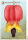 België  2021 ** De Natuurlijke Driekleur / La Nature Tricolore / MNH - Postfris - Unused Stamps