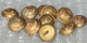 Lot De 11 Boutons Aviation Dia 15 - Knoppen