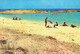Spanien / Spain - Playa Es Pujols # Ansichtskarte Echt Gelaufen / View Card Used (f1614) - Formentera