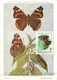 Hongrie Hungary Magyar Posta Lot Of 7 Maximum Cards CM Maxicard  Papillon Butterfly - Tarjetas – Máximo