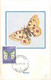 Yougoslavie Papillon Butterfly Lot De 6 Cartes Maximum Maxicard CM - Papillons