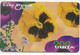 Scheda Telefonica INTERNAZIONALE EASY PHONE CARD 200 UNITA' Scadenza 30/12/2000 Usata - Flowers