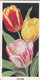 Carreras Cigarette Card - Flowers - 1936 - 3 Tulips - Player's