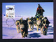 Gc6006 AUSTRALIA Transports Avion ANTARTIC Territory Dogs Chiens Maximum Card Postal Stationery 2001 - Fauna Antartica