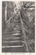 Postcard Jacobs Ladder  Devil's Bridge Nr Aberystwyth  My Ref B14511MD - Cardiganshire