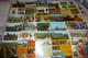 LOT DE 50 CARTES VINS...VIGNES ....VENDANGES.... - 5 - 99 Cartes