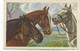 ILLUSTRATEUR - GUERINONI -Trois Chevaux Portraits - Produzione Italiana - Guerinoni