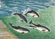 IRELAND 1997 Marine Mammals: Set Of 4 Postcards MINT/UNUSED - Postwaardestukken