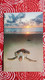 CPM TORTUE TURTLE LAY EGGS ON NAI YANG BEACH THAILAND BEAUX TIMBRES STAMPS - Turtles