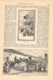 Delcampe - A102 887 - Antwerpen Flandern Belgien Schiffe Hafen Artikel Mit 15 Bildern 1885 !! - Autres & Non Classés
