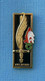 1 PIN'S //  ** LÉGION / Lt C AMILAKVARI / ÉCOLE SPÉCIALE MILITAIRE SAINT-CYR / 1954-1956 ** . (CEC - ID Premier) - Militaria