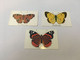 (1 A 20) Phonecard - Germany  - (3 Phonecard)  Butterfly - Papillons