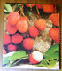 La Réunion Fruit D'une Passion - Serge Gélabert - 1988 - 130 Pages 31 X 26,8 Cm - Outre-Mer