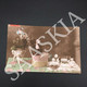 #CPA325 - 4307 REX Fleurs Chat Noeuds Oeufs - Fabrication Française - Aout 1913 - Animaux Habillés