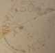Delcampe - Canada Nova Scotia 1866 QV 5 D / Cents On COVER RARE FRANKINGS With Nice POSTMARKS Cover As Per Scan - Cartas & Documentos