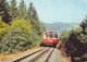 CPM GF - 22380-Allemagne -Lichtenhain -Steilstrecke Der Bergbahn-Envoi Gratuit - Lichtenhain