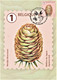 Reeks Van 10 Maximumkaarten Bpost "Boomvruchten" Marijke Meersman Stempel 1ste Dag Brussel-Bruxelles 14-06-2021 - Unused Stamps