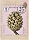 Delcampe - Reeks Van 10 Maximumkaarten Bpost "Boomvruchten" Marijke Meersman Stempel 1ste Dag Brussel-Bruxelles 14-06-2021 - Unused Stamps