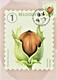 Delcampe - Reeks Van 10 Maximumkaarten Bpost "Boomvruchten" Marijke Meersman Stempel 1ste Dag Brussel-Bruxelles 14-06-2021 - Unused Stamps