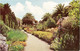 Tresco Gardens, Scilly Isles C1960s,(F.E.Gibson-Natural Colour Series U.S.A.) - Scilly Isles