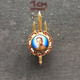 Badge Pin ZN006429 - Thailand King Ananda Mahidol - Militaria