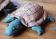 Lot 3 TORTUES Synthétique - Peluche Jouet - Très Bon état - Pour Collection Et Non Pour Enfant En Bas Age - Vers 2000 - Plüschtiere