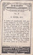 21 E. Piper - Derby Winners & Jockeys 1923 - Godfrey Phillips Cigarette Card - Original - Sport - Horses - Racing - Phillips / BDV