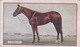 15 Lemberg 1910  - Derby Winners & Jockeys 1923 - Godfrey Phillips Cigarette Card - Original - Sport - Horses - Racing - Phillips / BDV