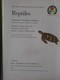 USA Tortue Reptile Basic Science Education Series Bertha Morris Parker Gladys K.McCosh 9 Illustrations Tortue Différente - Wildlife