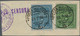 Italienische Besetzung 1918/23 - Trentino: 1918 Austria 2kr. Ultramarine And 4kr. Green Both Overpri - Trento