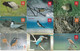 LOT 53 TELECARTES THEME OISEAUX - Altri & Non Classificati