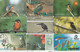 LOT 53 TELECARTES THEME OISEAUX - Altri & Non Classificati