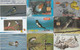 LOT 53 TELECARTES THEME OISEAUX - Altri & Non Classificati