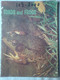 USA Toads Frogs Grenouilles Basic Science Education Series Bertha Morris Parker Plus De 35 Illustrations Arnold W. Ryan - Vida Salvaje