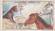 67 Dog In The Manger, Fables & Their Morals 1922  - Gallaher Cigarette Card - Original - Antique - Gallaher