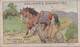 41 The Horse & The Ass, Fables & Their Morals 1922  - Gallaher Cigarette Card - Original - Antique - Gallaher