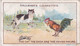 35 The Cat The Cock & The Young Mouse Fables & Their Morals 1922  - Gallaher Cigarette Card - Original - Antique - Gallaher