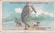 40 The Husbandman & The Stork,  Fables & Their Morals 1922  - Gallaher Cigarette Card - Original - Antique - Gallaher